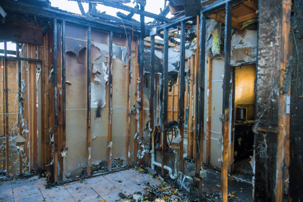 Professional Fire Damage Removal technician working in Gustine, CA